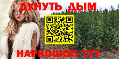 прущие крисы Будённовск